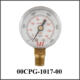 Pressure Gauge 5,000psi