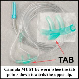 EDS-ip Cannula - Image 2