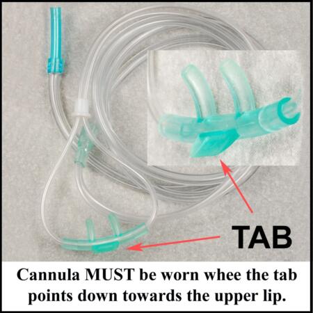 EDS-ip Cannula - Image 2